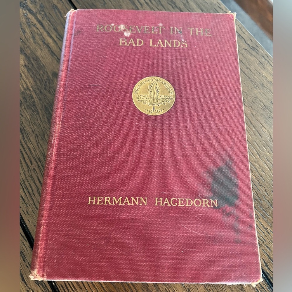 Roosevelt In The Bad Lands Hagedorn 1921 1st Edition Hardcover Illustrated